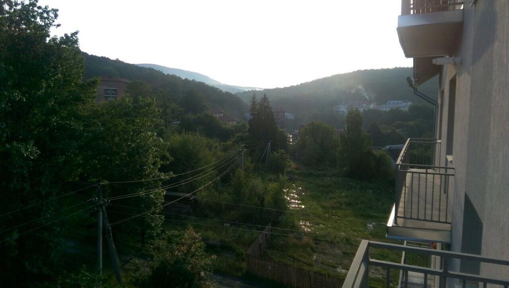 Polyana Apart Polyana (Transcarpathia) Exterior foto