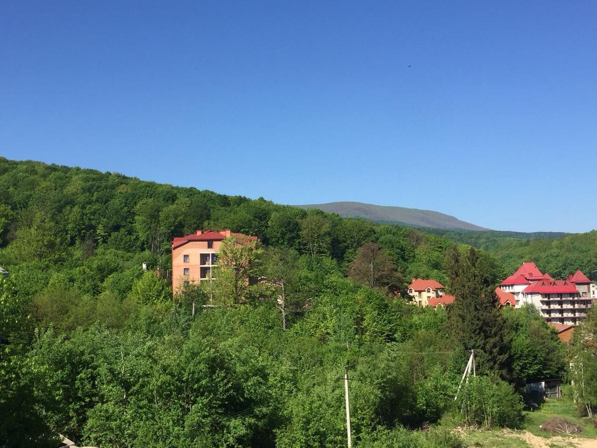 Polyana Apart Polyana (Transcarpathia) Exterior foto